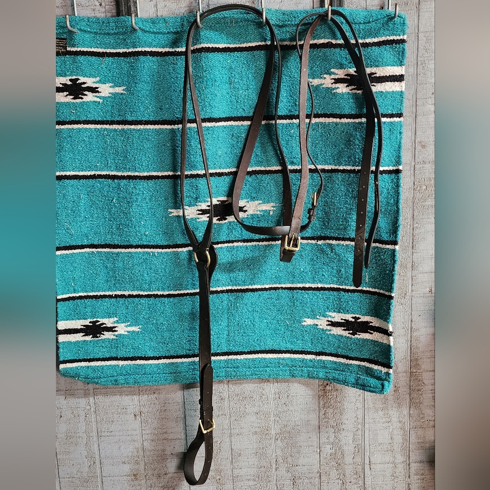 Endurance breastplate